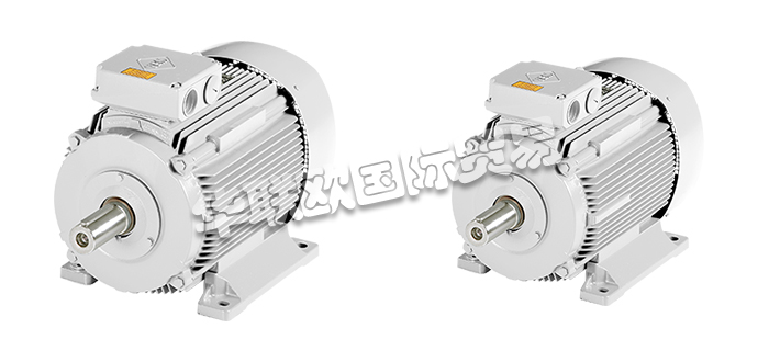 VEM電機(jī),VEM船用電機(jī),德國(guó)電機(jī),德國(guó)船用電機(jī),德國(guó)VEM