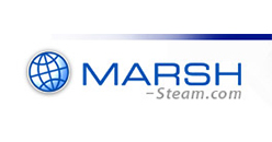 MARSH STEAM